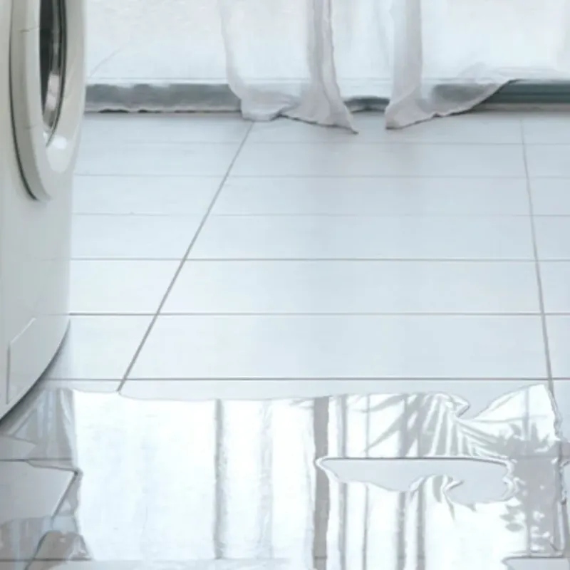 Appliance Leak Cleanup in Morgan County, KY