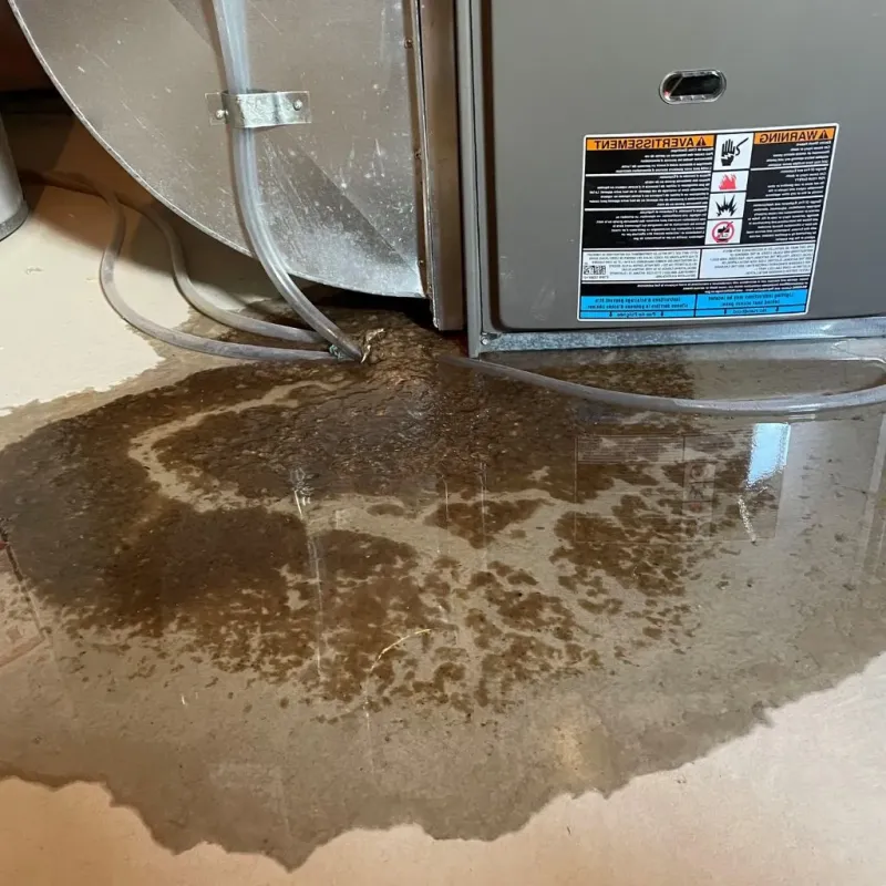 Pipe Burst and Leak Restoration in Morgan County, KY