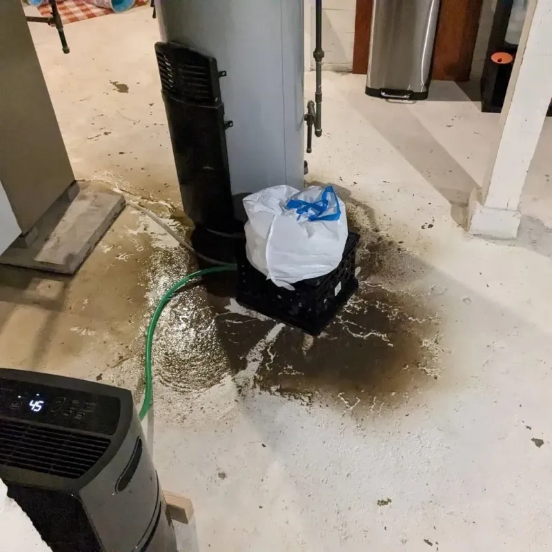 Sewage Backup Cleanup Service in Morgan County, KY